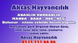 Aktaş Hayvancılık