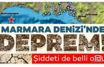Lezzetli Domatesin Sifresi Toprak Analizi Istanbul Silivri Haberleri